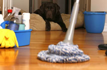 Specialist Cleansing